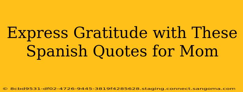 Express Gratitude with These Spanish Quotes for Mom
