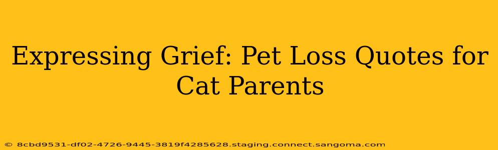 Expressing Grief: Pet Loss Quotes for Cat Parents