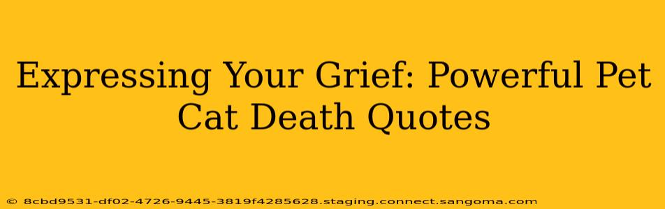 Expressing Your Grief: Powerful Pet Cat Death Quotes