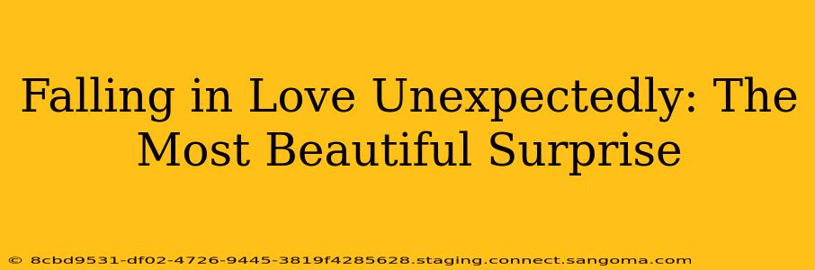 Falling in Love Unexpectedly: The Most Beautiful Surprise