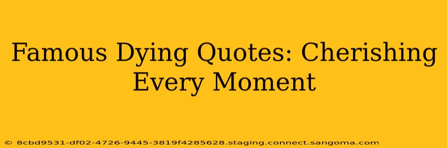Famous Dying Quotes: Cherishing Every Moment