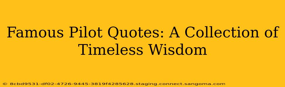 Famous Pilot Quotes: A Collection of Timeless Wisdom
