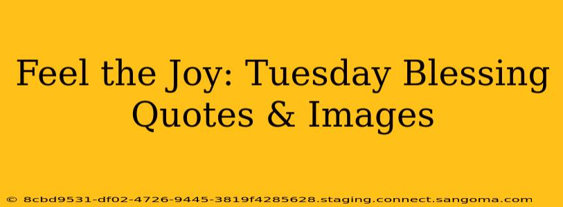 Feel the Joy: Tuesday Blessing Quotes & Images