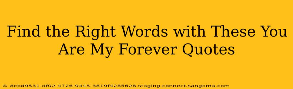 Find the Right Words with These You Are My Forever Quotes