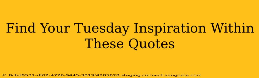 Find Your Tuesday Inspiration Within These Quotes