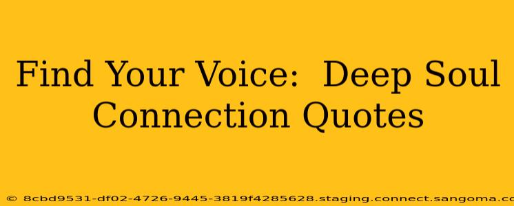 Find Your Voice:  Deep Soul Connection Quotes