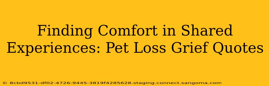 Finding Comfort in Shared Experiences: Pet Loss Grief Quotes
