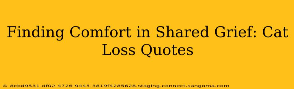 Finding Comfort in Shared Grief: Cat Loss Quotes