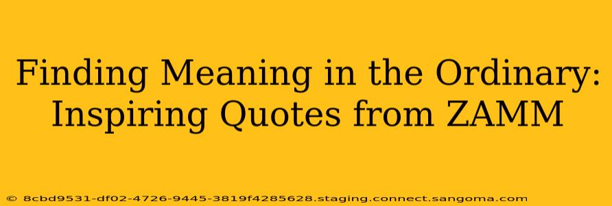 Finding Meaning in the Ordinary: Inspiring Quotes from ZAMM