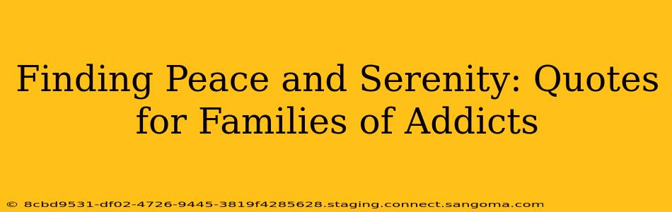 Finding Peace and Serenity: Quotes for Families of Addicts