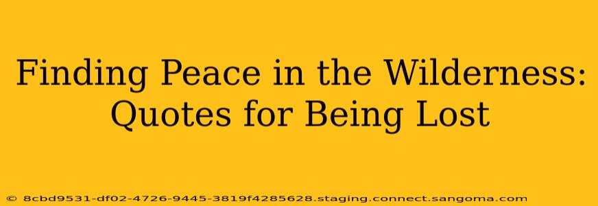 Finding Peace in the Wilderness: Quotes for Being Lost
