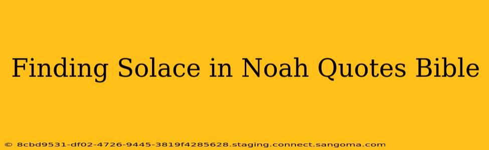 Finding Solace in Noah Quotes Bible