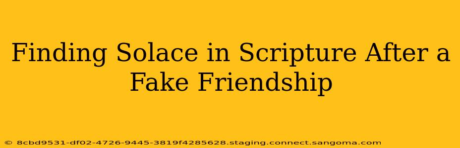 Finding Solace in Scripture After a Fake Friendship