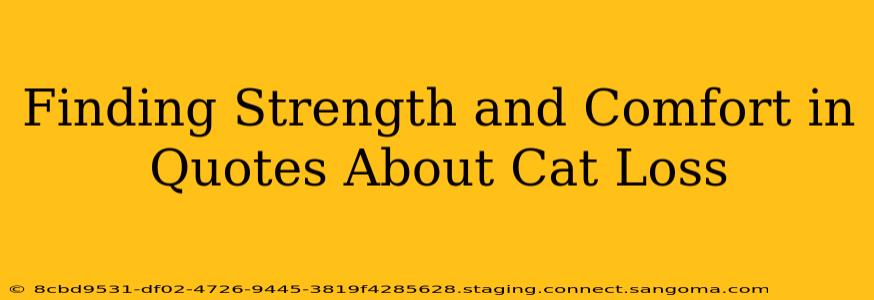 Finding Strength and Comfort in Quotes About Cat Loss