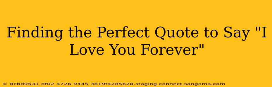 Finding the Perfect Quote to Say "I Love You Forever"