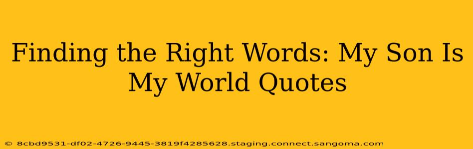 Finding the Right Words: My Son Is My World Quotes