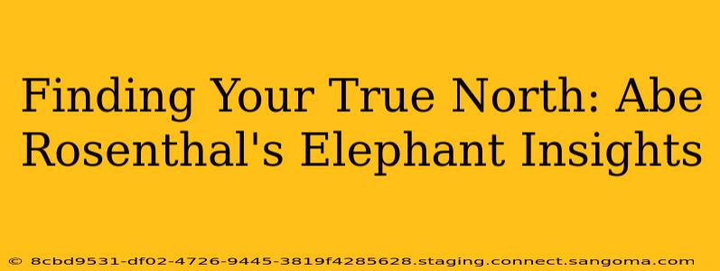 Finding Your True North: Abe Rosenthal's Elephant Insights