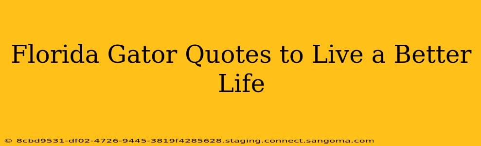 Florida Gator Quotes to Live a Better Life