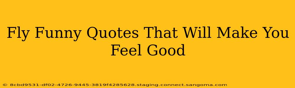 Fly Funny Quotes That Will Make You Feel Good