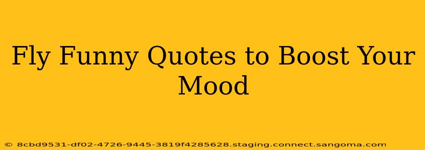 Fly Funny Quotes to Boost Your Mood
