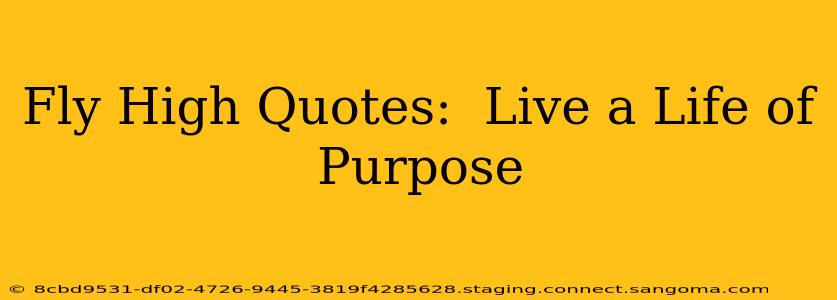 Fly High Quotes:  Live a Life of Purpose