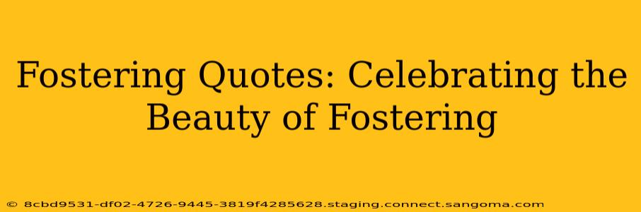 Fostering Quotes: Celebrating the Beauty of Fostering