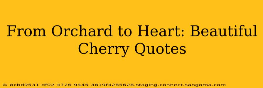 From Orchard to Heart: Beautiful Cherry Quotes