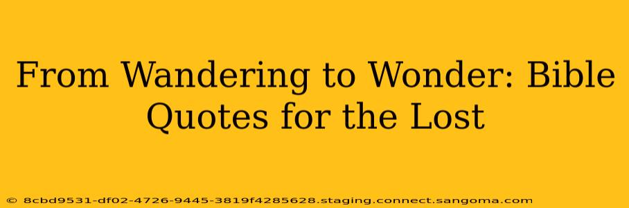 From Wandering to Wonder: Bible Quotes for the Lost