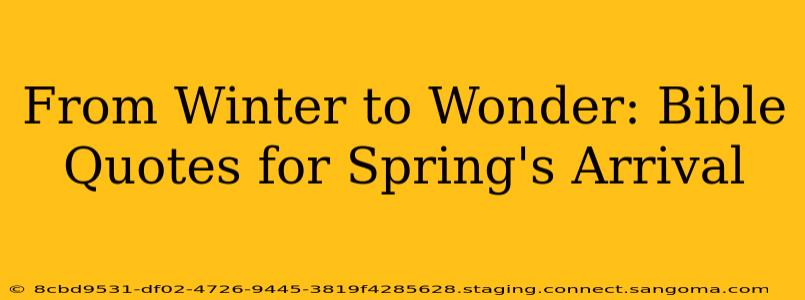 From Winter to Wonder: Bible Quotes for Spring's Arrival