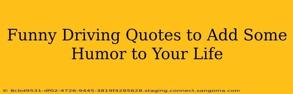 Funny Driving Quotes to Add Some Humor to Your Life