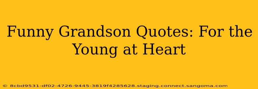 Funny Grandson Quotes: For the Young at Heart