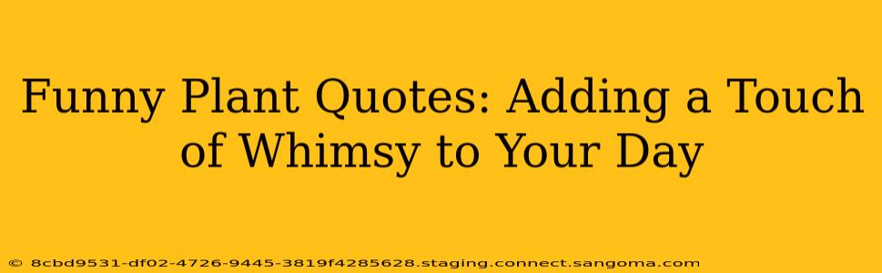 Funny Plant Quotes: Adding a Touch of Whimsy to Your Day