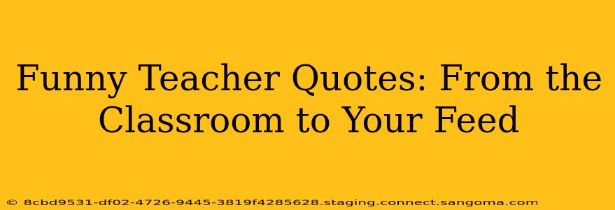 Funny Teacher Quotes: From the Classroom to Your Feed