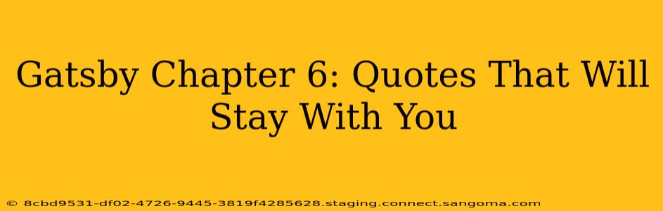 Gatsby Chapter 6: Quotes That Will Stay With You