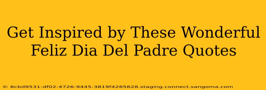 Get Inspired by These Wonderful Feliz Dia Del Padre Quotes