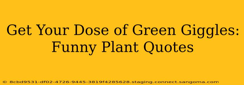 Get Your Dose of Green Giggles: Funny Plant Quotes