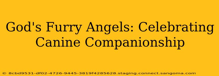 God's Furry Angels: Celebrating Canine Companionship