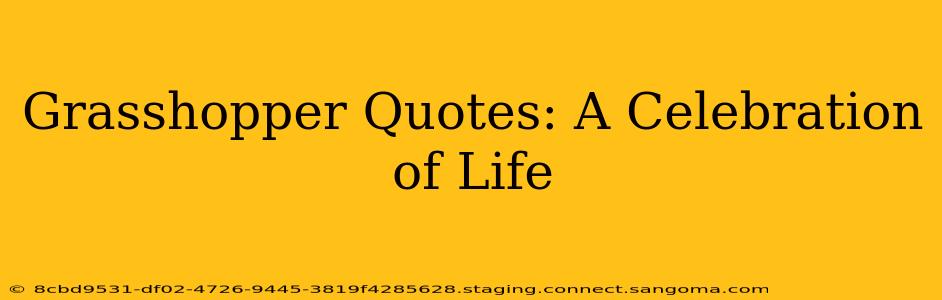 Grasshopper Quotes: A Celebration of Life