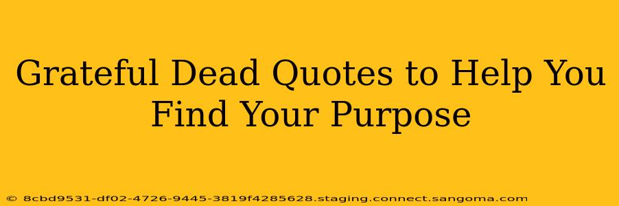 Grateful Dead Quotes to Help You Find Your Purpose