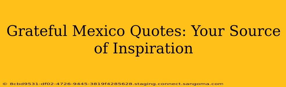 Grateful Mexico Quotes: Your Source of Inspiration