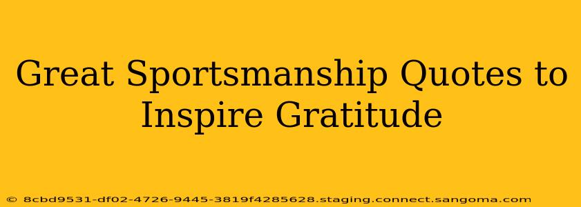 Great Sportsmanship Quotes to Inspire Gratitude