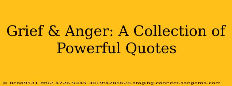 Grief & Anger: A Collection of Powerful Quotes