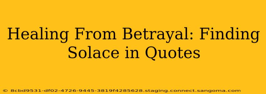 Healing From Betrayal: Finding Solace in Quotes