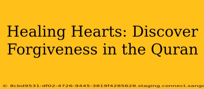 Healing Hearts: Discover Forgiveness in the Quran
