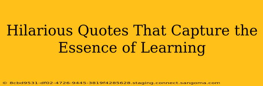 Hilarious Quotes That Capture the Essence of Learning