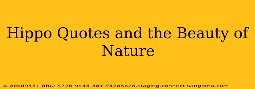 Hippo Quotes and the Beauty of Nature
