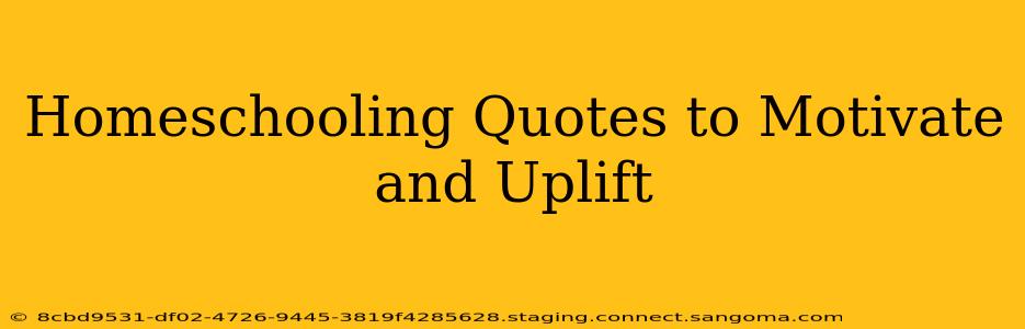 Homeschooling Quotes to Motivate and Uplift