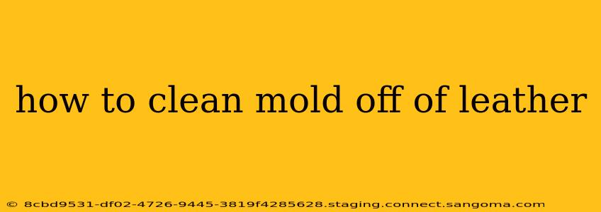 how to clean mold off of leather