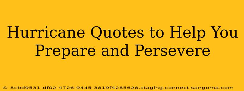 Hurricane Quotes to Help You Prepare and Persevere