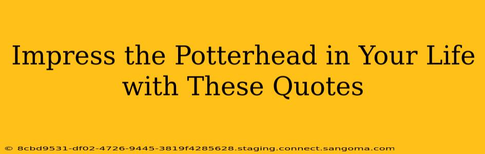 Impress the Potterhead in Your Life with These Quotes